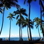 ハワスム(ハワイに住むまで続けるブログ)再開！
